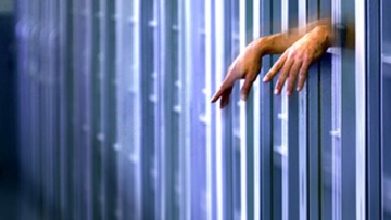 Photo: ${params.title}