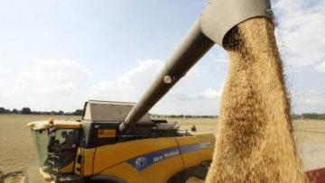 Photo: ${params.title}