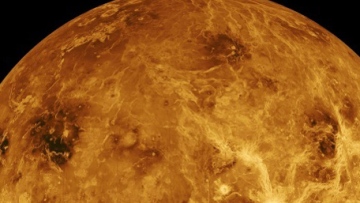 Photo: ${params.title}