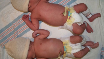 Photo: ${params.title}