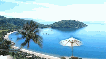 Photo: ${params.title}