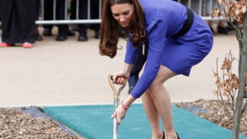 Photo: ${params.title}