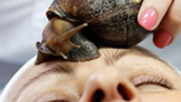 Photo: ${params.title}