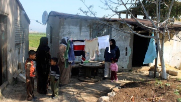 Photo: ${params.title}