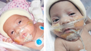 Photo: ${params.title}