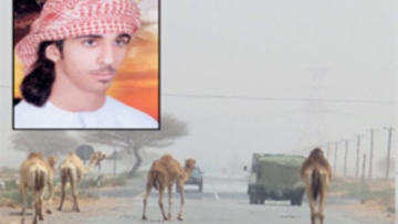 Photo: ${params.title}