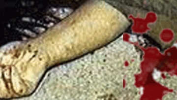 Photo: ${params.title}