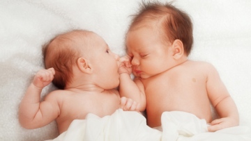 Photo: ${params.title}