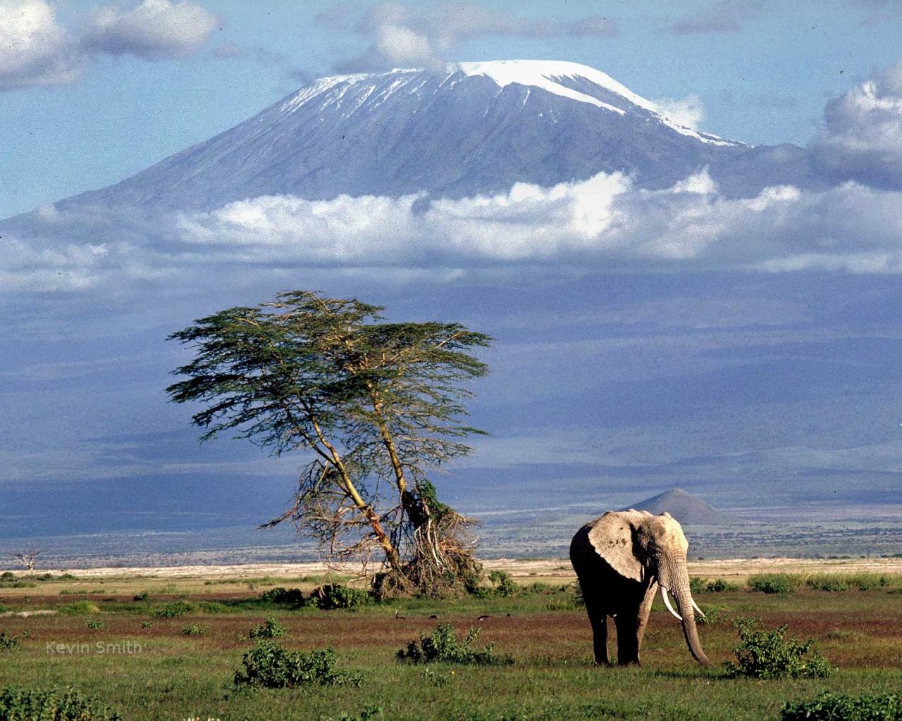 Set a vertical limit by conquering Mount Kilimanjaro in Tanzania