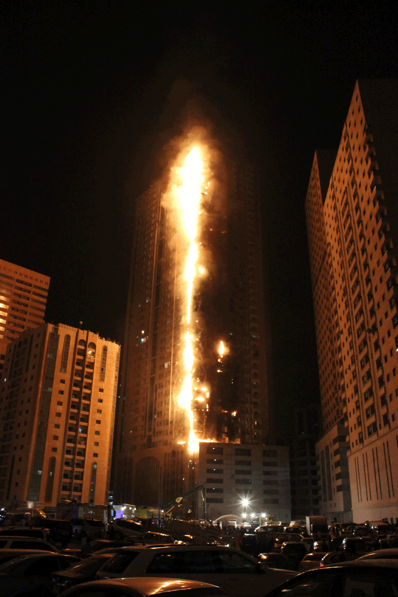 Picture by V M Satish and Benu Kurian