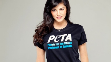 Photo: ${params.title}