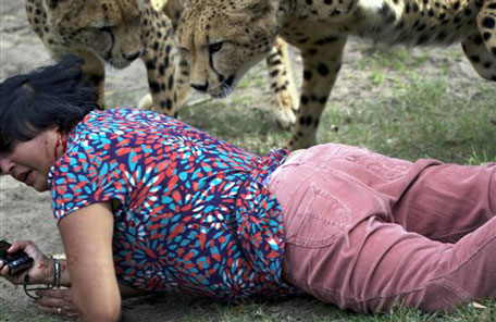 Woman escapes death after 'pet' cheetah attack - Offbeat - Emirates24|7