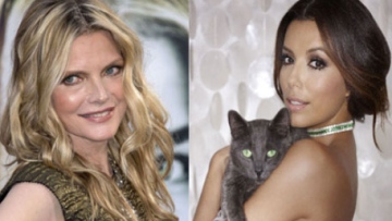 Photo: ${params.title}