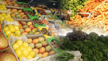 Photo: ${params.title}