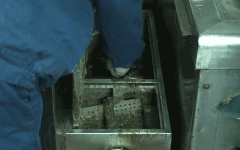 China cracks down on restaurant 'gutter oil' News World Emirates247