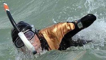 Photo: ${params.title}