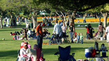 Photo: ${params.title}