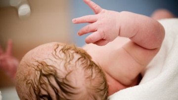 Photo: ${params.title}