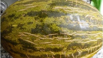 Photo: ${params.title}