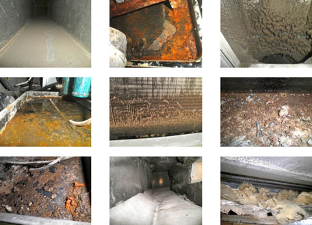 Some of the dirt and termites found in home ACs. (SUPPLIED)