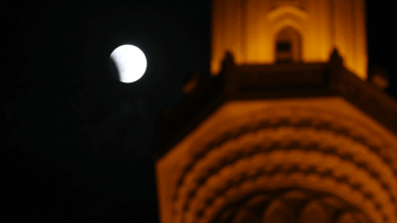 Photo: ${params.title}