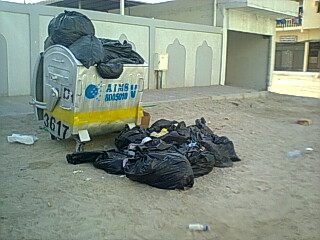 Garbage strewn outside bins which have been locked. (V M Sathish)