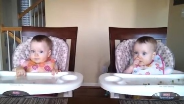 Photo: ${params.title}