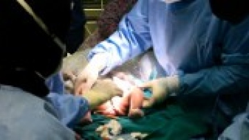 Photo: ${params.title}