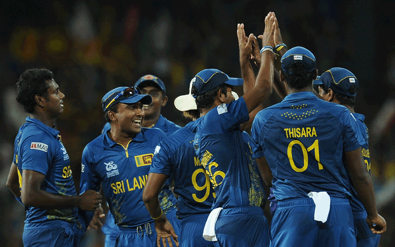 Sri Lankan cricketer Angelo Mathews (L) celebrates with teammates after he dismissed West Indies batsman Johnson Charles during the ICC Twenty20 Cricket World Cup's final match between Sri Lanka and West Indies at the R. Premadasa International Cricket Stadium in Colombo. (AFP)