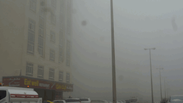 Photo: ${params.title}