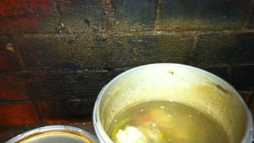 Photo: ${params.title}