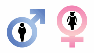 Photo: ${params.title}