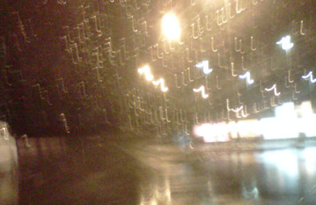 Photo by Mily Chakrabarty