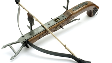 Photo: ${params.title}