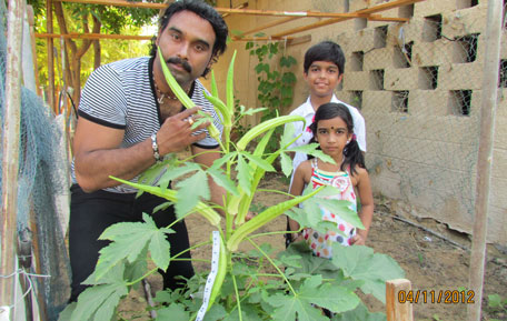 Sudhish Kumar with his record-breaking okra (lady finger) in Sharjah. (Supplied)