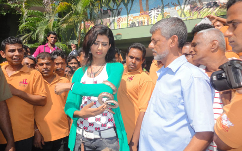 Nirosha Wimalaratne, a snake dancer in a Colombo night club (Pictures Courtesy: Virakesari)