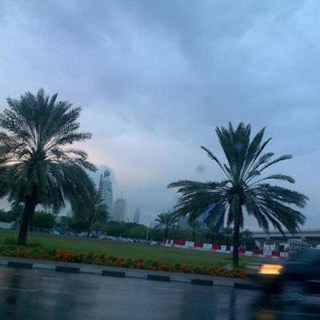 Images courtesy Emirates24|7 reader Monisha Prabhu.