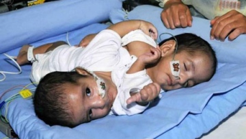 Photo: ${params.title}