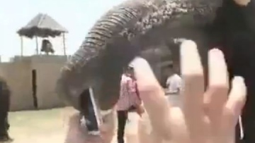 Photo: ${params.title}