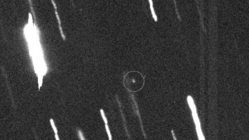 Photo: ${params.title}