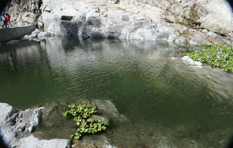 An aquapond built in Balog Creek by Philex Mining