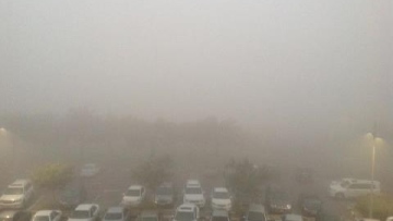 Photo: ${params.title}