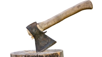 Photo: ${params.title}