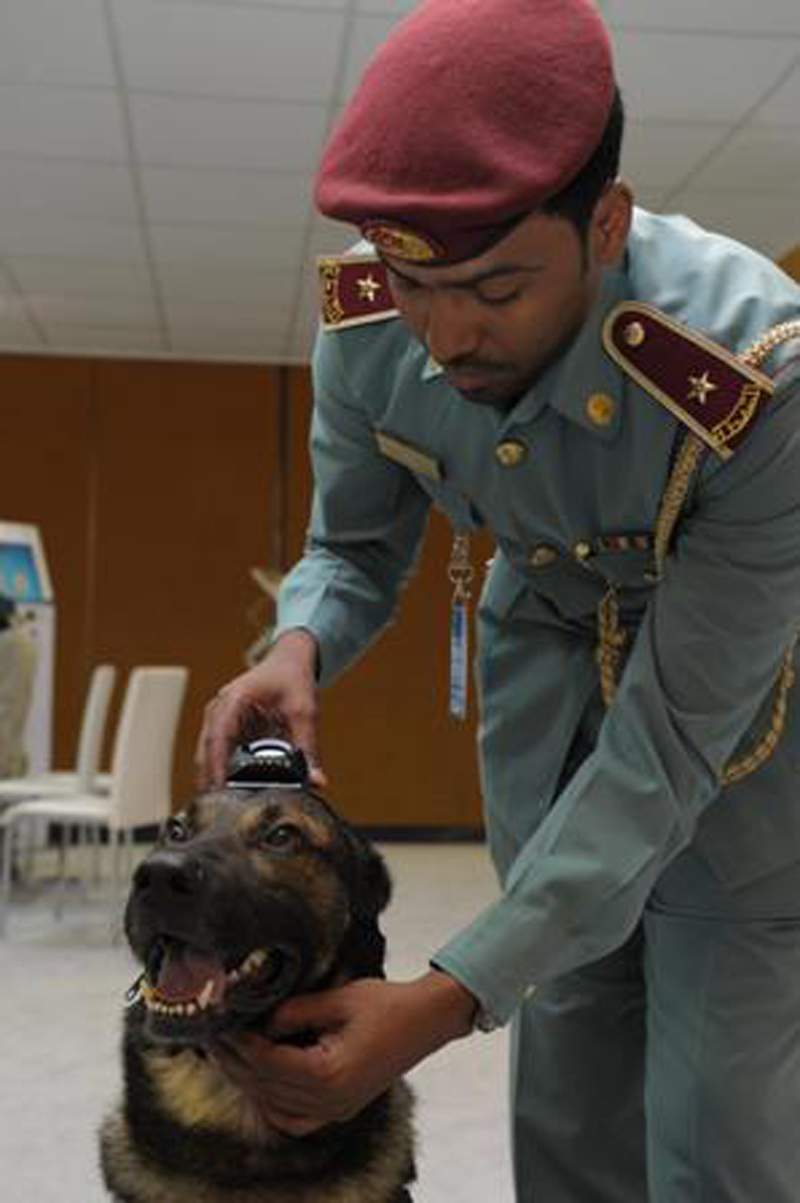  Abu  Dhabi  Police showcases dogs  with advanced cameras 