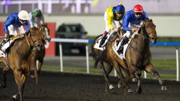 Photo: ${params.title}