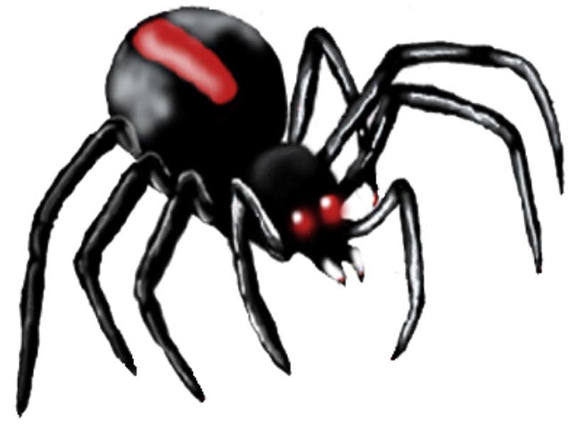 Poisonous Redback spiders in Springs, Ranches - News - Emirates