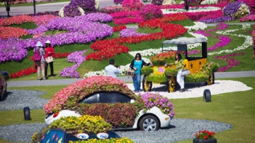 Photo: ${params.title}