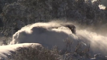 Photo: ${params.title}