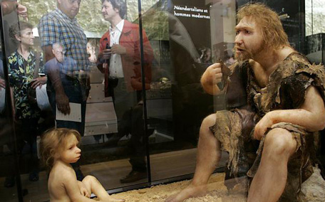 Brain conquered brawn in early humans essay image