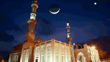 Photo: ${params.title}